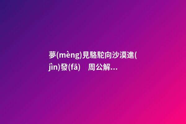 夢(mèng)見駱駝向沙漠進(jìn)發(fā)　周公解夢(mèng)之夢(mèng)到駱駝向沙漠進(jìn)發(fā)